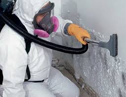 Best Emergency Mold Remediation  in Swarthmore, PA